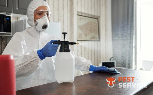 Дезинфекция в Бирске