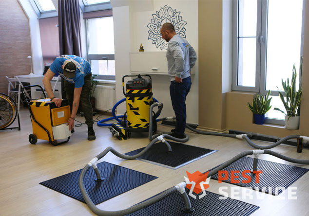 Профессиональная сушка после потопа в Бирске от 3000 руб. Быстро устраняем влагу, предотвращаем плесень и повреждения. Современное оборудование и опытные специалисты. Безопасно и эффективно.